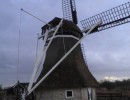 Molen de Gooyer nabij Blesse