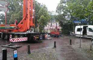 Haantje op kerktoren Oudemirdum
